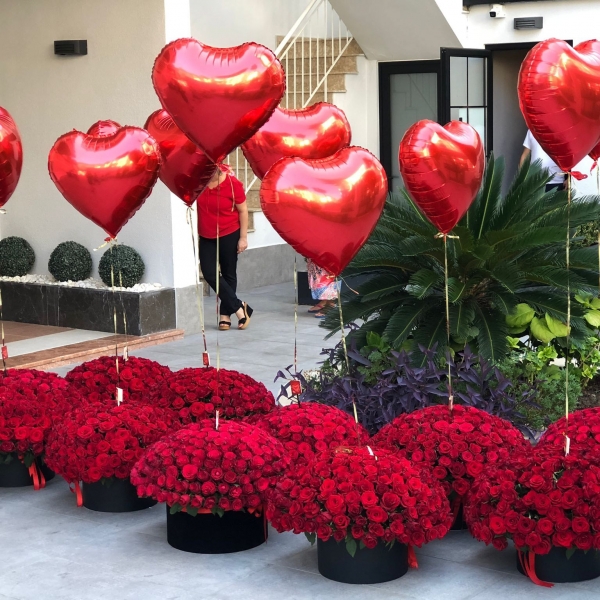  Antalya Lara Çiçekçiler 1001 Gül Kutu Arajman ve Balonlar
