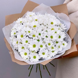 Antalya Lara Çiçekçi Beyaz Papatya Buketi