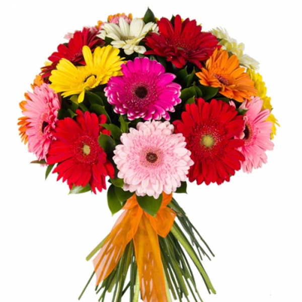  Antalya Lara Çiçek Siparişi Renkli Gerbera Buketi
