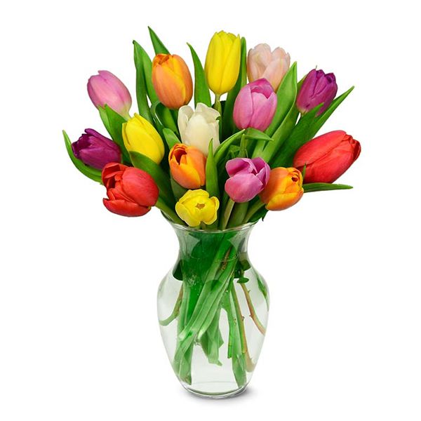  Antalya Lara Çiçek Siparişi Vazoda 15 Renkli Lale