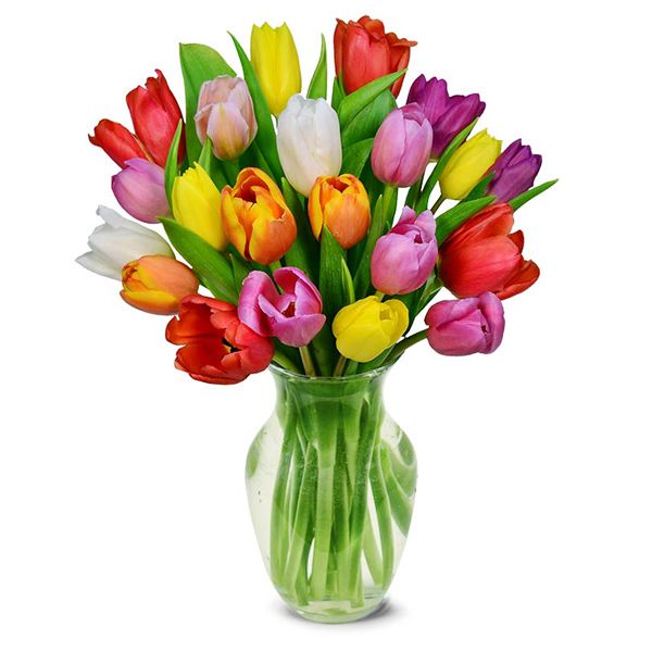  Antalya Lara Çiçek Siparişi Vazoda 20 Renkli Lale