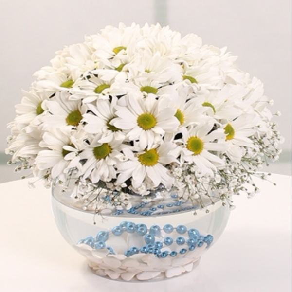  Antalya Lara Çiçek Siparişi Cam Fanusta Kasımpatılar
