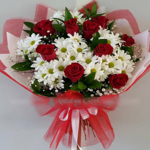  Antalya Lara Çiçekci  Beyaz Kasımpatılar ve Kırmızı Güller