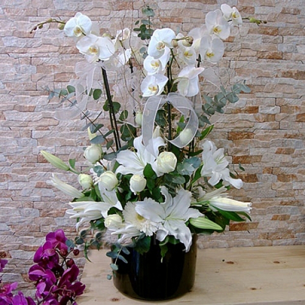  Antalya Lara Çiçek Siparişi Siyah Kutuda Beyaz Orkide Kazabilanka Beyaz Gül Arajman